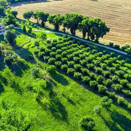 Luxury In Le Marche Casa Sant'elia וילה Filottrano